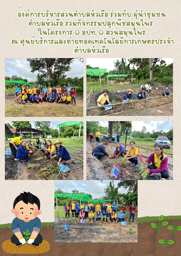 ปลูกพืชสมุนไพร ในโครงการ ๑ อปท. ๑ สวนสมุนไพร