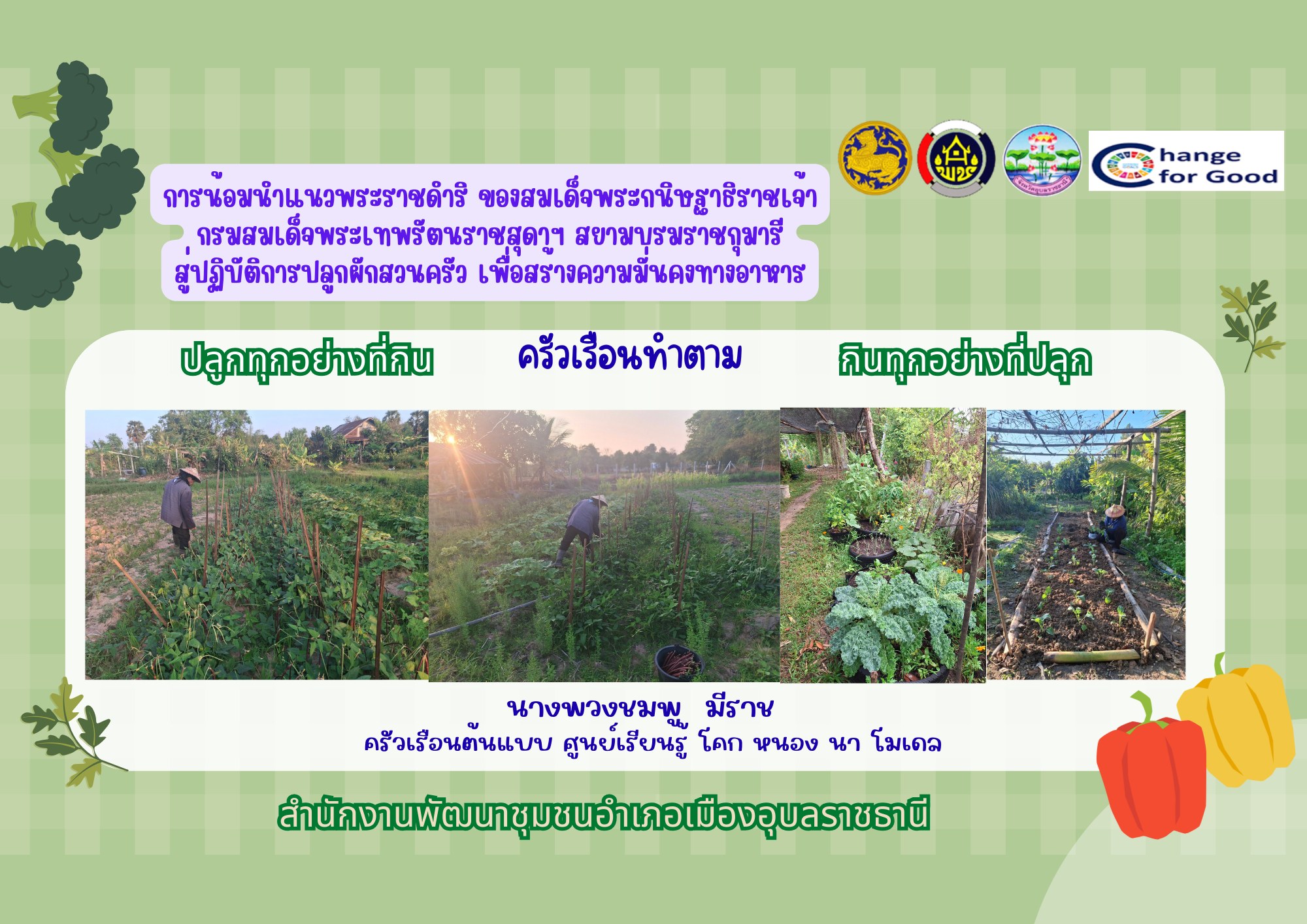 "ครัวเรือนทำตาม" ส่งเสริมครัวเรือนปลูกพืชผักสวนครัว ตามแนวทาง “ปลูกทุกอย่างที่กิน กินทุกอย่างที่ปลูก”  นางพวงชมพู  มีราช  ครัวเรือนต้นแบบศูนย์เรียนรู้ "โคก หนอง นา โมเดล"